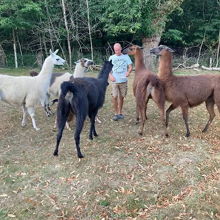 The Llama Farm France * Saint-Cyr-Les-Champagnes