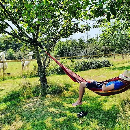 The Llama Farm France Farm stay