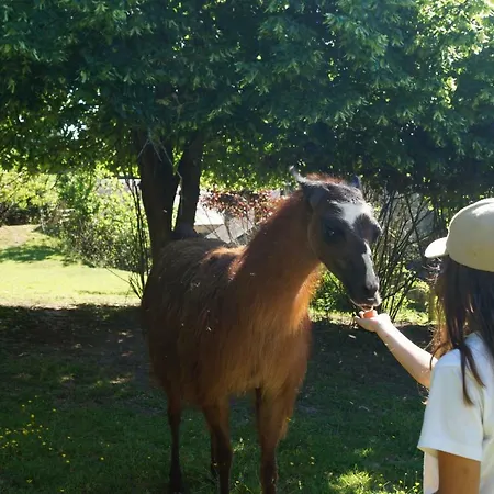 The Llama Farm France Farm stay
