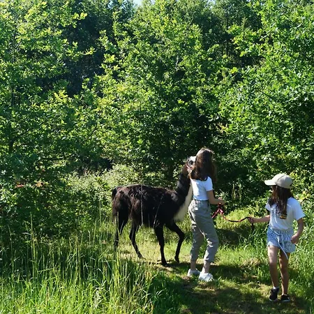 The Llama Farm France * Saint-Cyr-Les-Champagnes