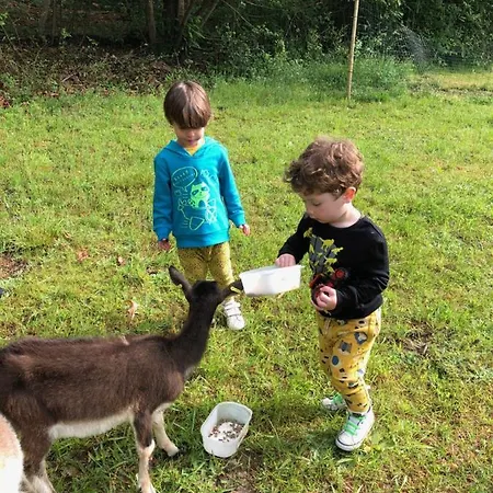 Farm stay The Llama Farm France *