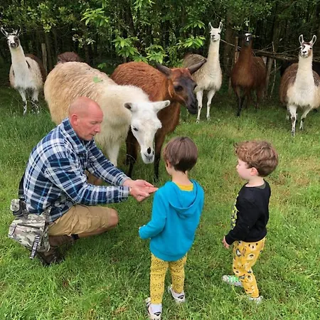 The Llama Farm France Farm stay *