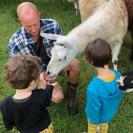 The Llama Farm France Farm stay Saint-Cyr-Les-Champagnes