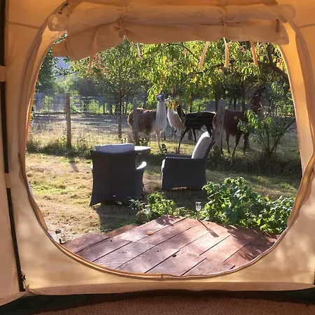 Farm stay The Llama Farm France *