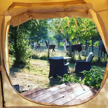 The Llama Farm France Farm stay